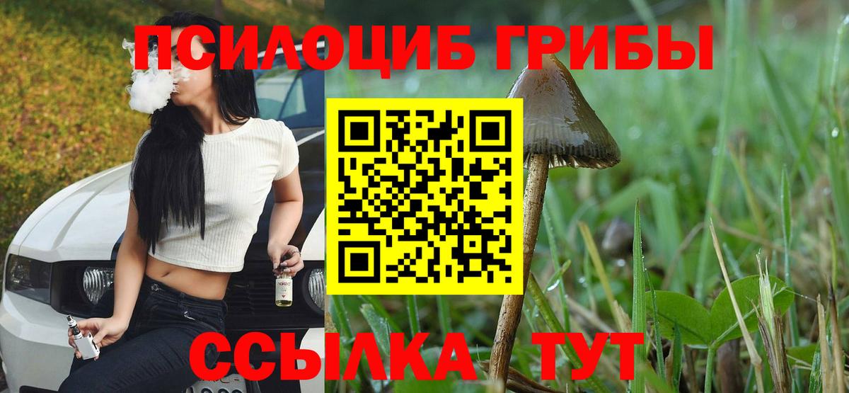 Галлюциногенные грибы MAGIC MUSHROOMS Карталы