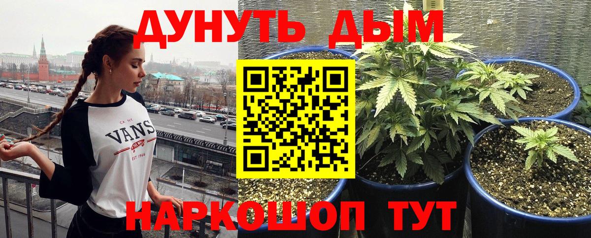 Шишки марихуана SATIVA & INDICA  МАРИХУАНА OG Kush  Карталы  МАРИХУАНА AK-47  Вход с VPN 